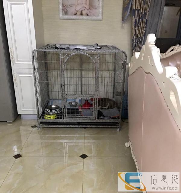 中大型犬狗狗笼子