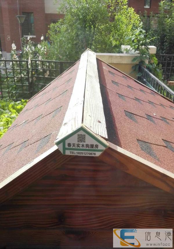 99成新狗用品价格500