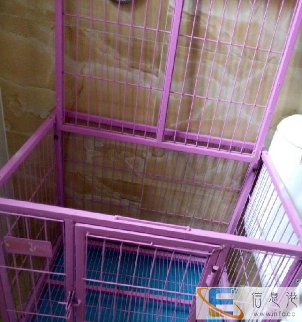 狗笼子 好质量 大尺寸犬舍低价出售