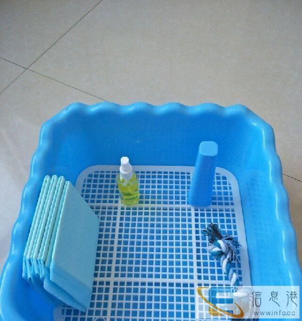 转让出售全新的宠物狗狗用品