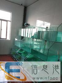 专业定做各种场合海鲜池，贝壳池