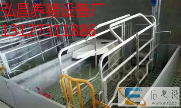 新型养猪设备欧式分娩床生产设计厂家世昌畜牧专卖欧式分娩床