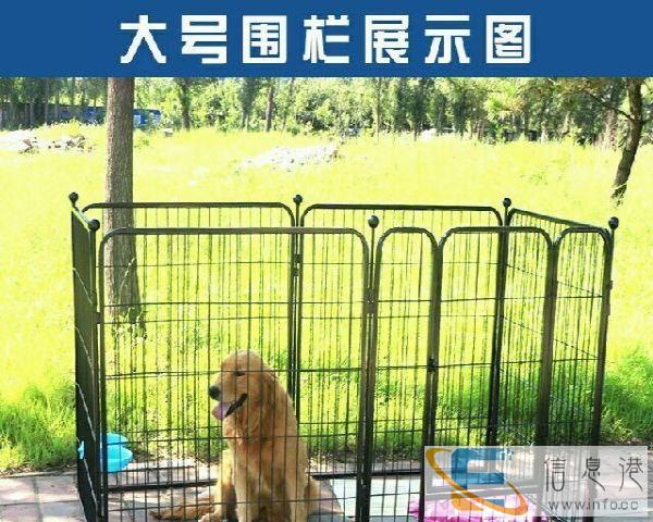 特大型狗笼，金毛，阿拉斯加