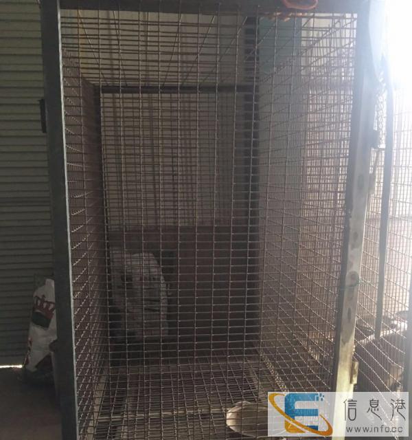 全新狗用品价格600