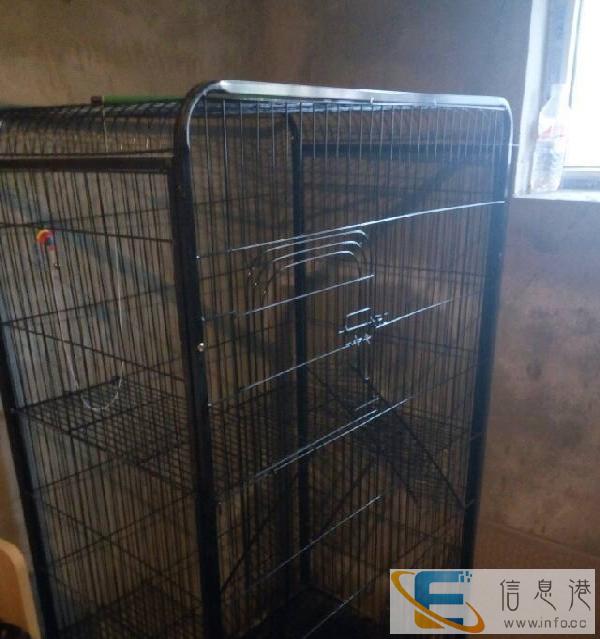 宠物笼子低价出售