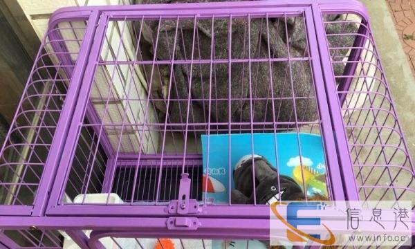 新买的狗笼子因为家里没地方放转让