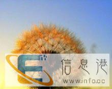 找一保姆帮忙照顾11个月孩子