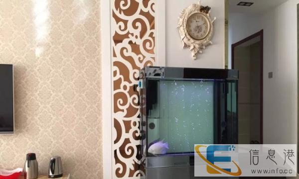 出售森贝尔生态鱼缸