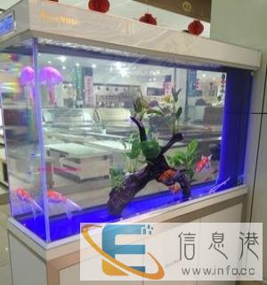 2016款龙鱼缸东营森森水族专卖店到货