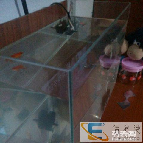 自制全磨边超白玻璃鱼缸