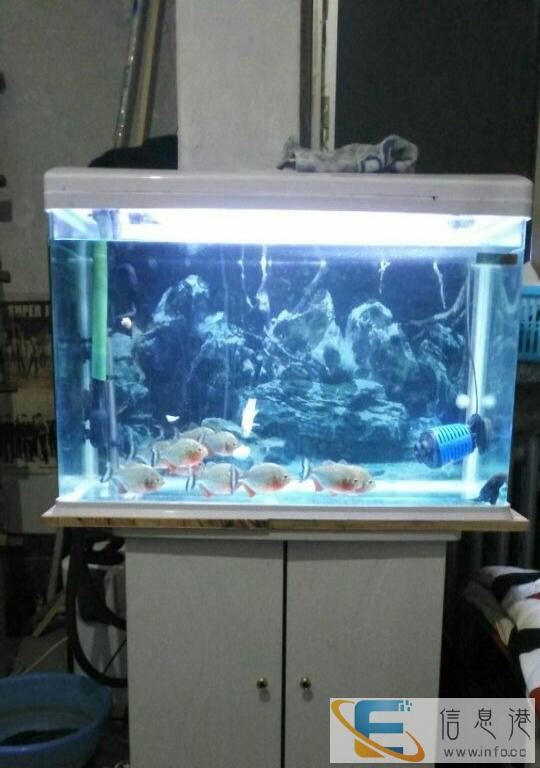 鱼缸 带大功率过滤桶