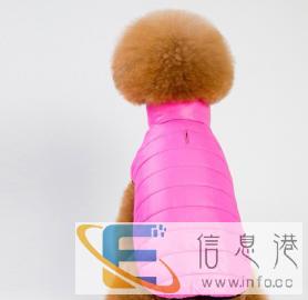 全新狗用品价格15