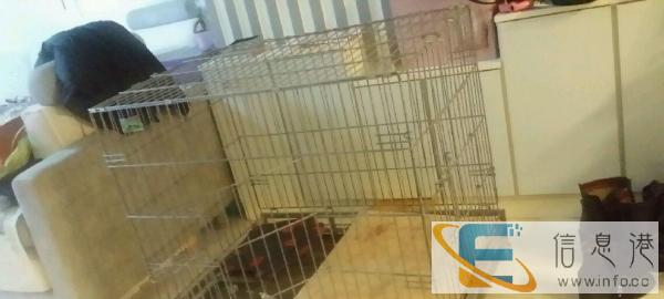 结实，实用，超实用的笼子，便宜卖了