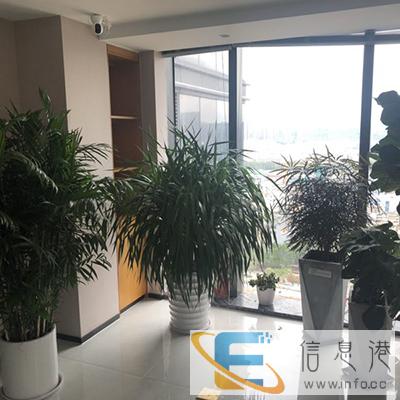 百色做抗震检测的-价格