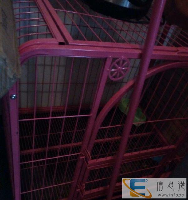 大型犬笼便宜转让
