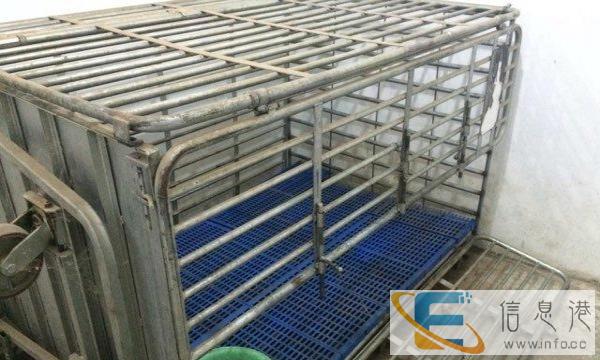 转让狗笼，超大和大号