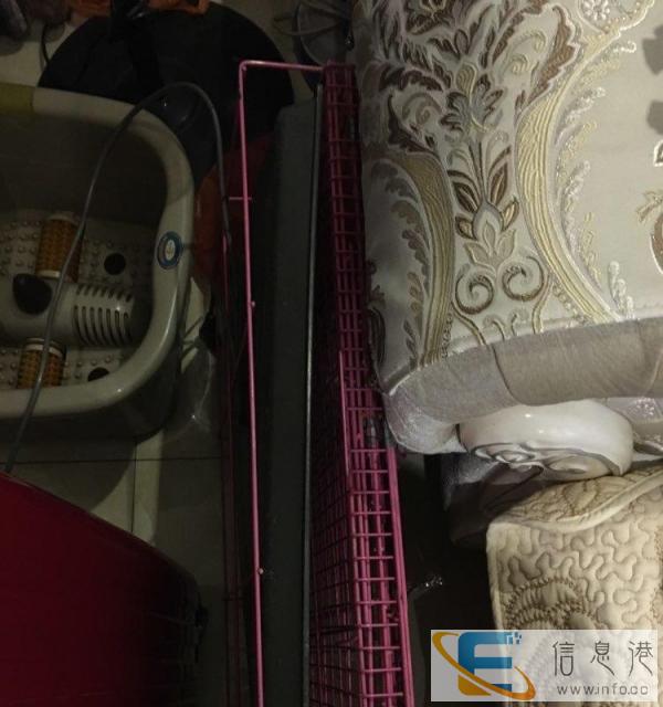 狗狗笼子转让35元