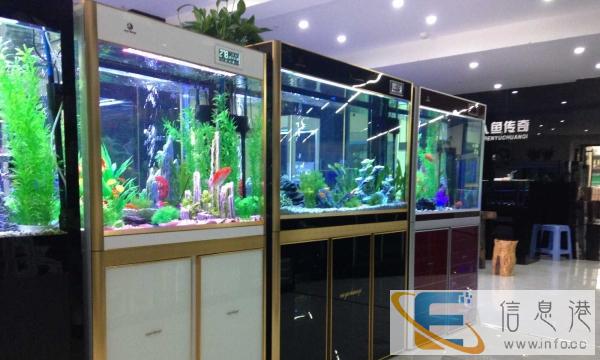 愉悦享受，尽在乐游，重庆人鱼传奇诚征各地经销商