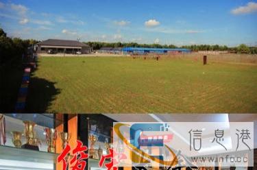 广东较大较具规模的英牛养殖场 专业繁殖购犬送好礼