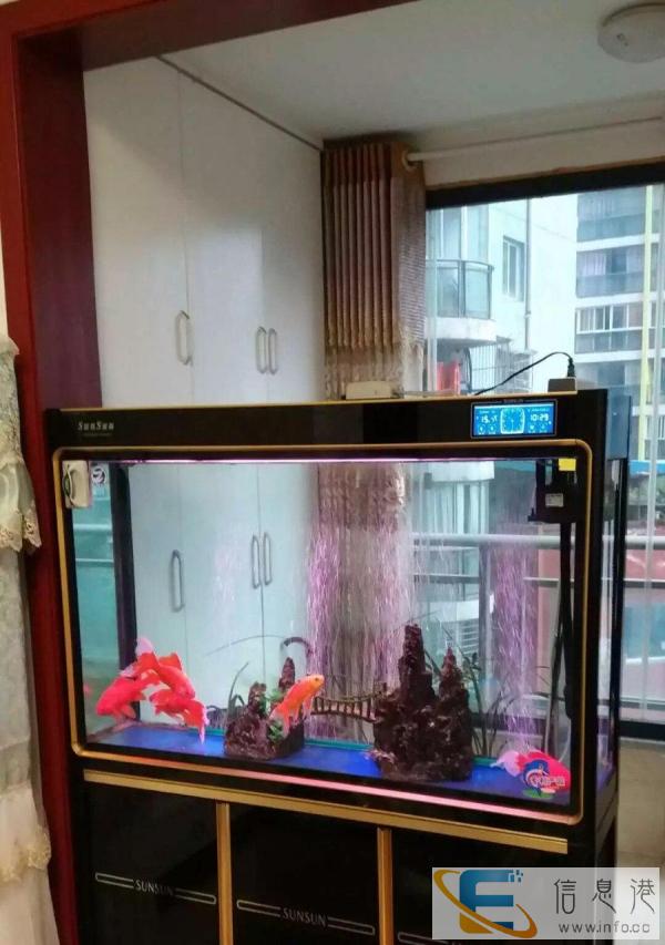 99成新鱼缸价格1500
