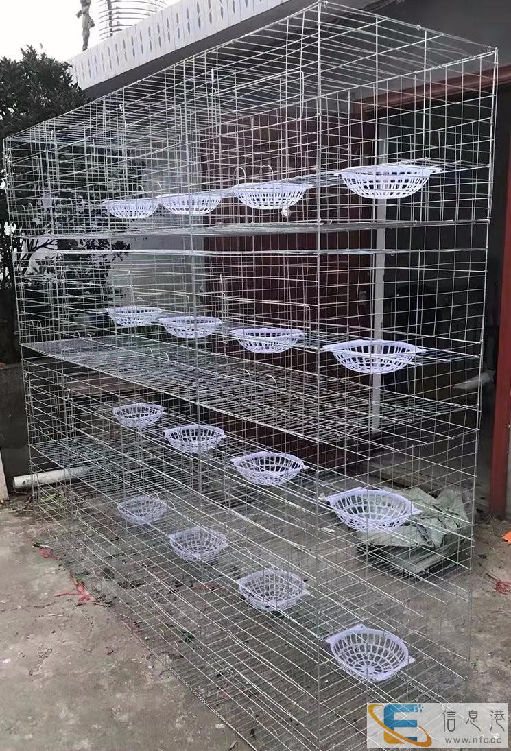 鸽子笼生产厂家A南平市鸽子笼生产厂家A鸽子笼生产厂家批发