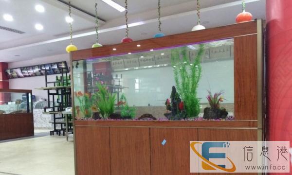 重庆人鱼传奇品牌鱼缸,诚征各级代理商