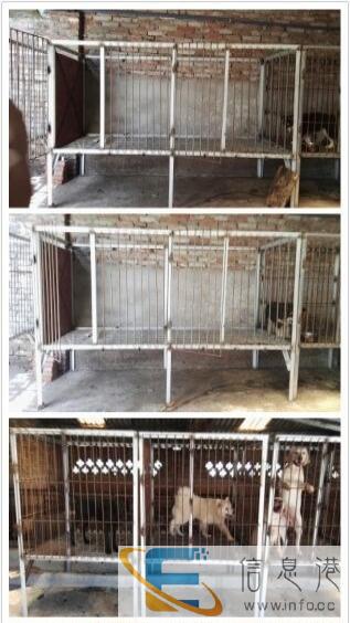 狗笼子 大狗小狗都有