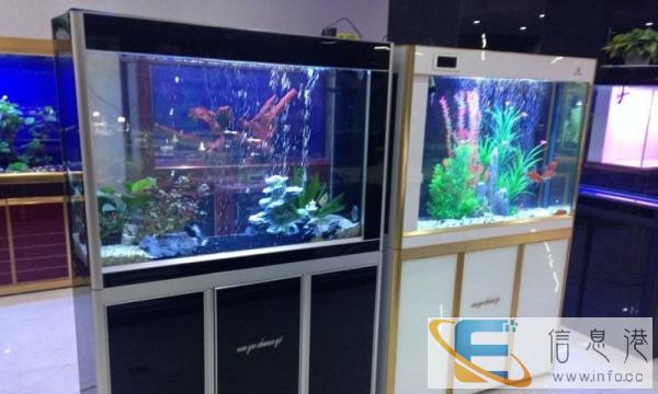 重庆人鱼传奇鱼缸厂家,专业定做吧台鱼缸茶机鱼缸