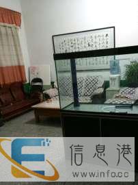 专业上门清洗鱼缸，升级过滤系统，处理鱼缸各种问题