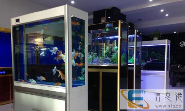 重庆人鱼传奇生态鱼缸,厂家直营,诚征各地经销、代理合作