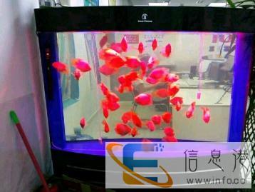 大同专业上门清洗鱼缸维修检查改造处理漏水