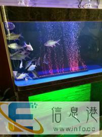 大同市专门上门清洗鱼缸维修检测安装护理鱼缸