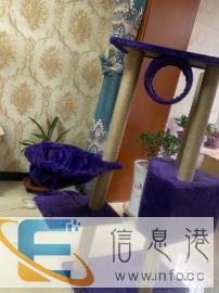 出售猫爬架，刚买上没用过