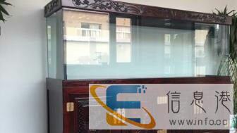 专业上门清洗鱼缸，维修灯管显示屏，处理鱼缸漏水