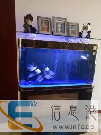 大同市专业清洗鱼缸，维修检测调试，处理鱼缸各种问题