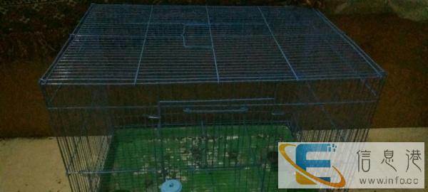 宠物荷兰猪笼子