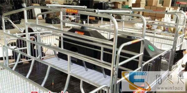 大型养猪设备母猪产床河北猪用产床生产厂家直销