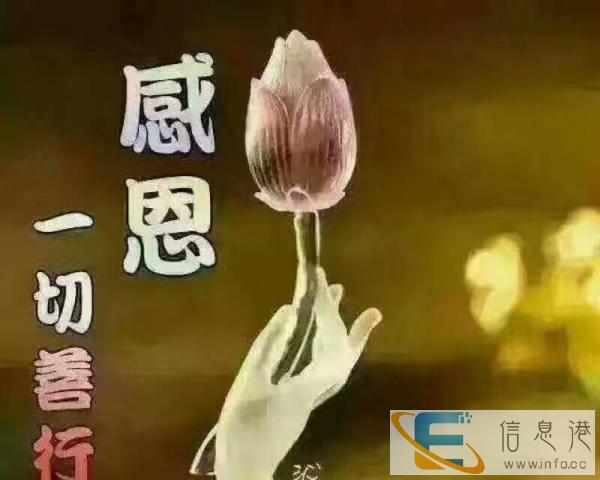 真诚找一位大姐帮忙带孩子