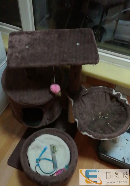 给阿猫阿狗的复式楼