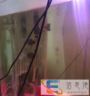 转让超白鱼缸一个