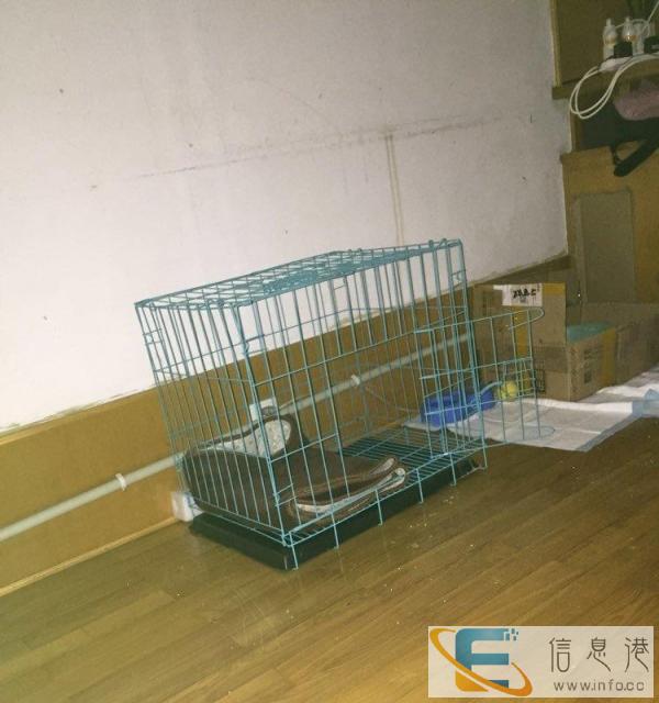 全新狗笼子转让出售