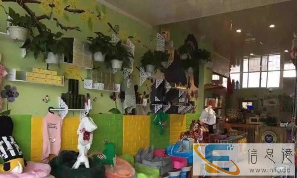 10年老店，宠物店转让