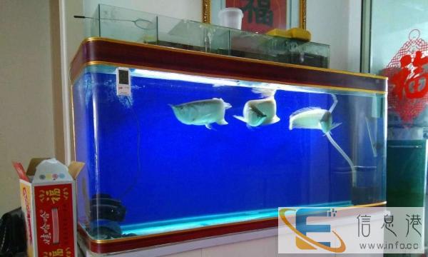 9成新鱼缸价格1000