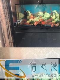 可丽爱品牌鱼缸低价出售