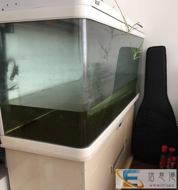 1米4鱼缸低价转让