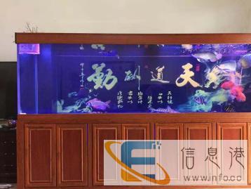 鱼缸专业定制出售