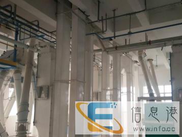 山东宠物食品公司犬猫粮零食代加工