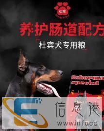 心粮福州代理犬舍