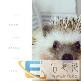 95成新其他宠物用品价格200