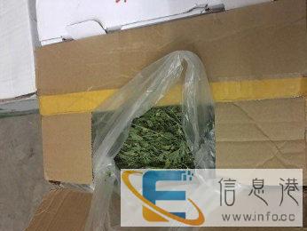 龙猫柜笼，内置电冰窝